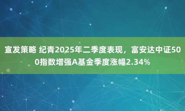 宣发策略 纪青2025年二季度表现，富安达中证500指数增强A基金季度涨幅2.34%