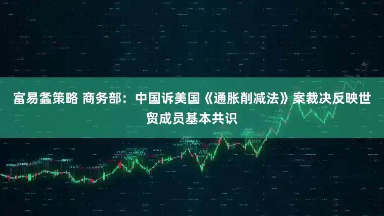 富易螽策略 商务部：中国诉美国《通胀削减法》案裁决反映世贸成员基本共识