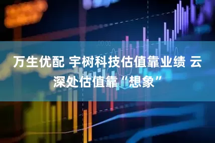 万生优配 宇树科技估值靠业绩 云深处估值靠“想象”